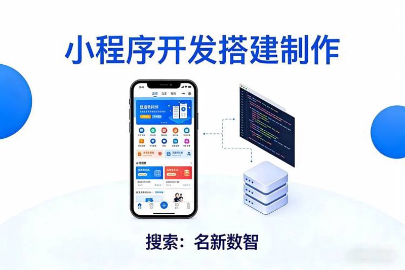 APP开发